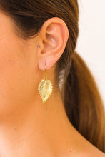 Afbeelding in Gallery-weergave laden, Oorbelletjes in een glazen koker met gouden glitters.
