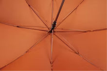 Afbeelding in Gallery-weergave laden, Regenscherm lang automatisch - ENKEL in de winkel
